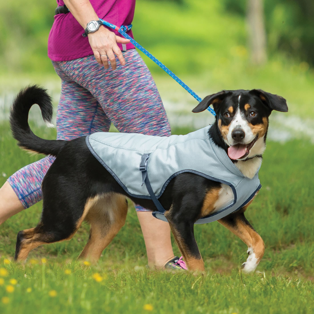 Kurgo Core Cooling Vest Icy