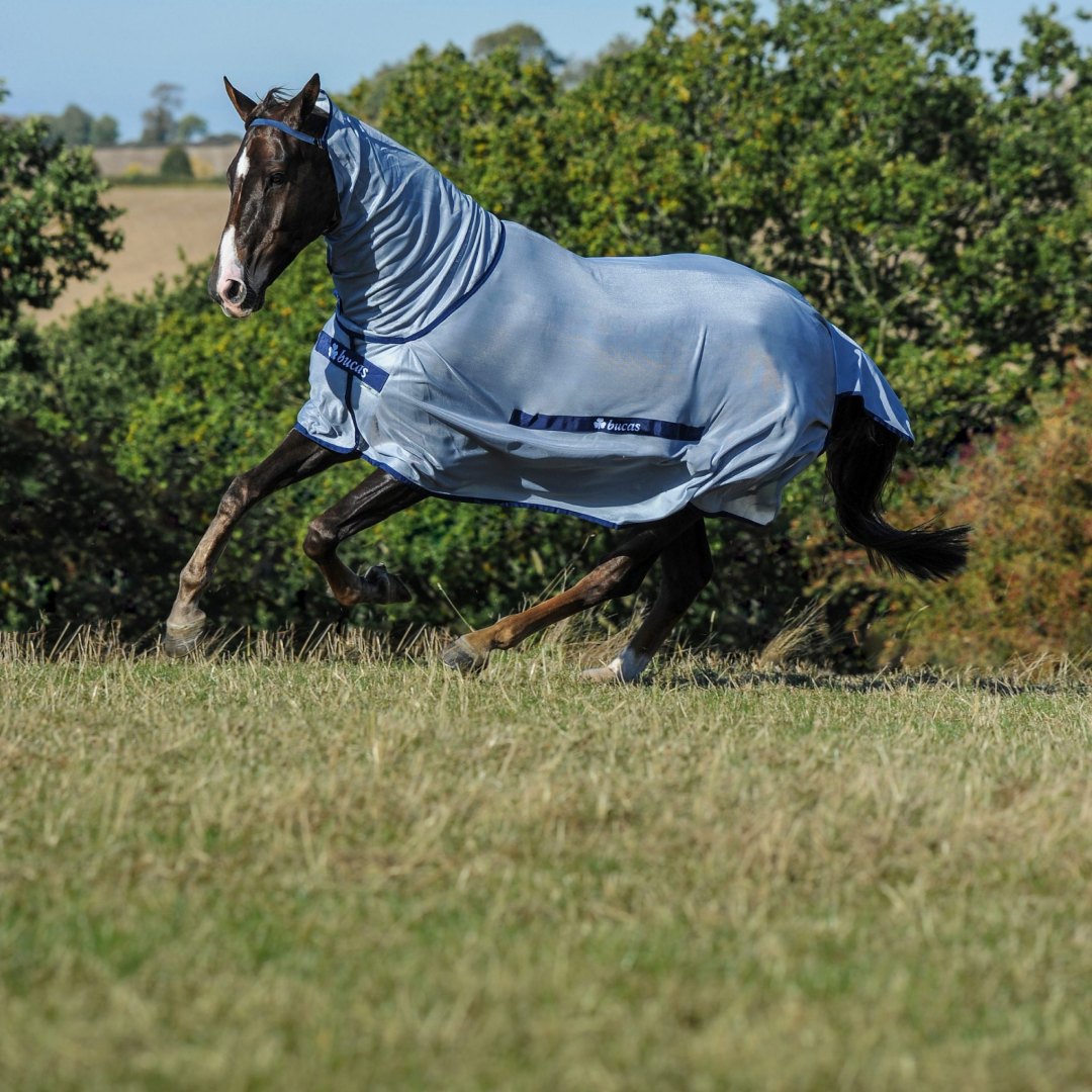 Bucas Buzz-Off Full Neck Fly Rug