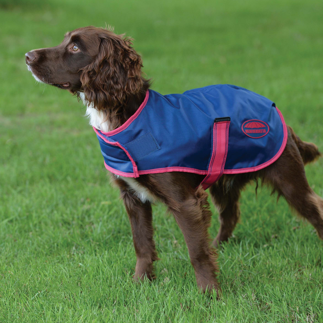 Weatherbeeta Comfitec Windbreaker Free Parka Dog Coat