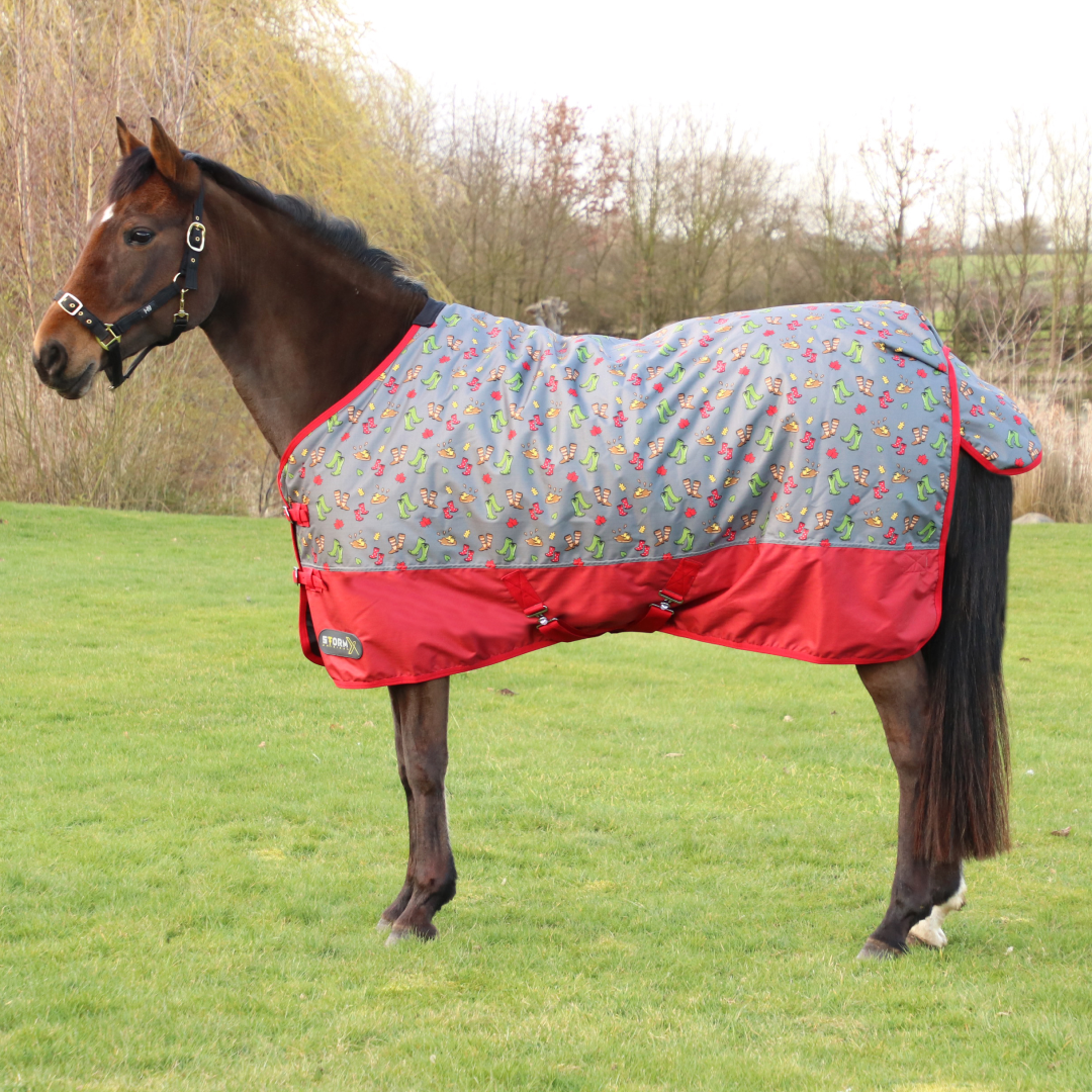StormX Original Country Walks 100g Turnout Rug