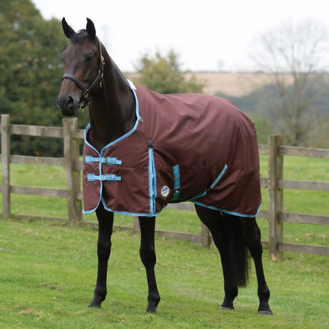 Weatherbeeta Comfitec Classic Standard Neck Medium