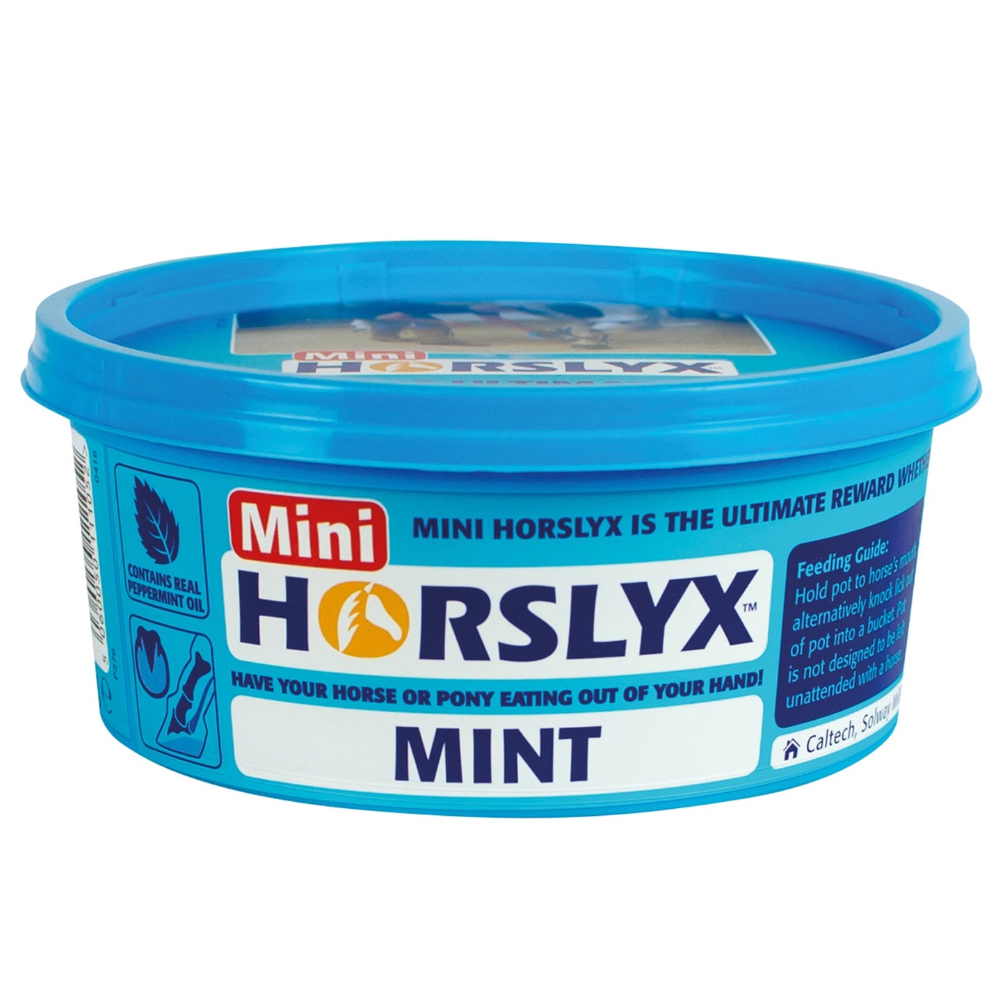 Horslyx Mini Licks Packs of 12