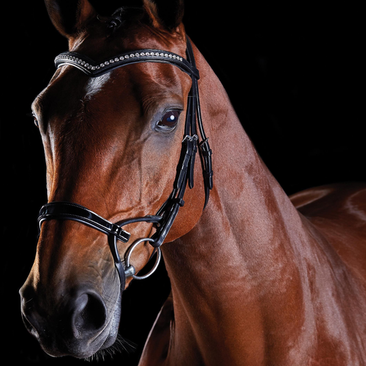 Collegiate ComFiTec Patent Bridle