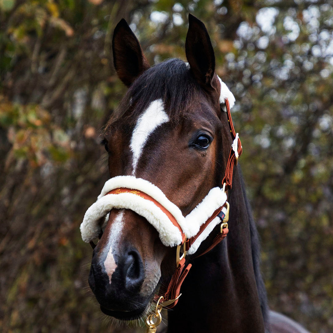 Covalliero Fleece Lined Halter