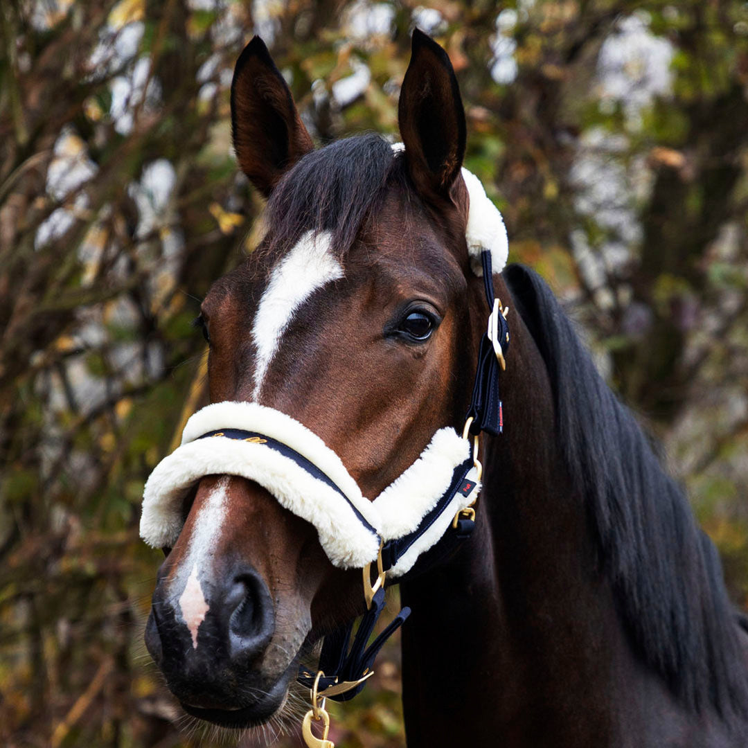 Covalliero Fleece Lined Halter