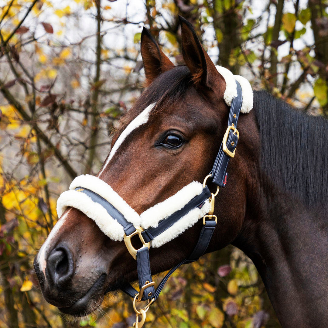 Covalliero Fleece Lined Halter