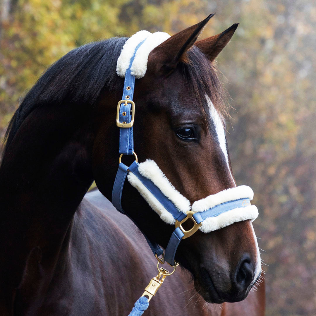 Covalliero Fleece Lined Halter