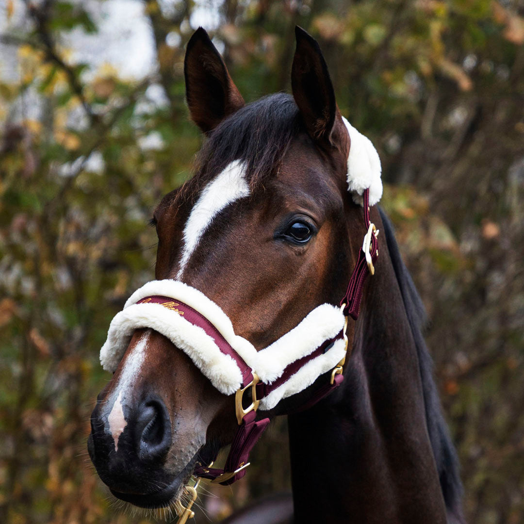 Covalliero Fleece Lined Halter