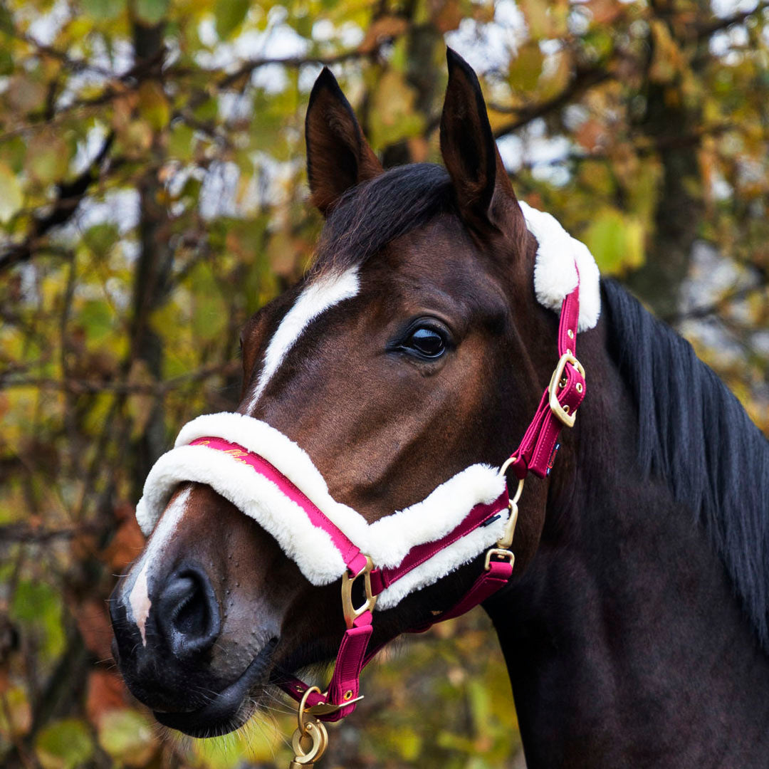 Covalliero Fleece Lined Halter