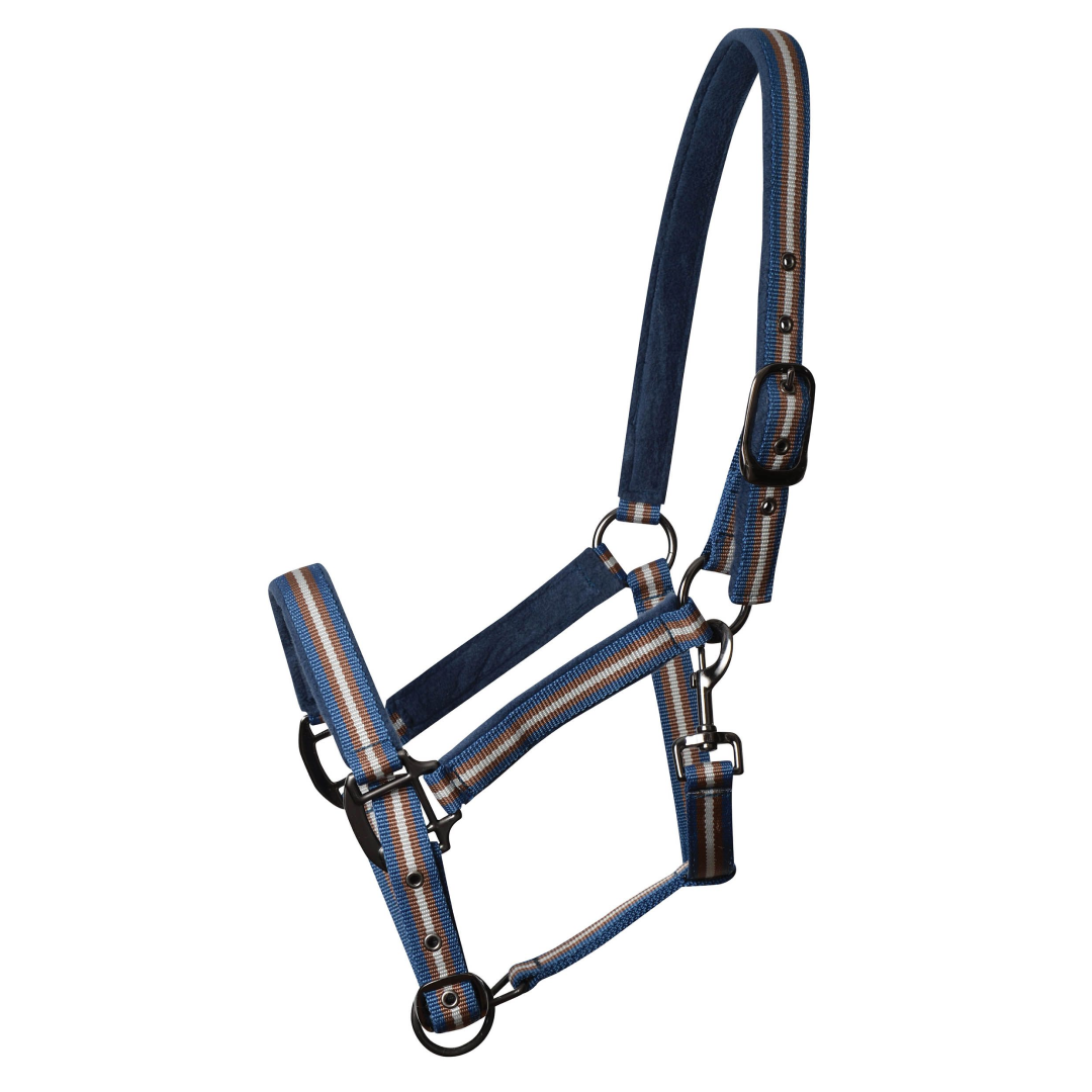 Weatherbeeta Coordinate Headcollar