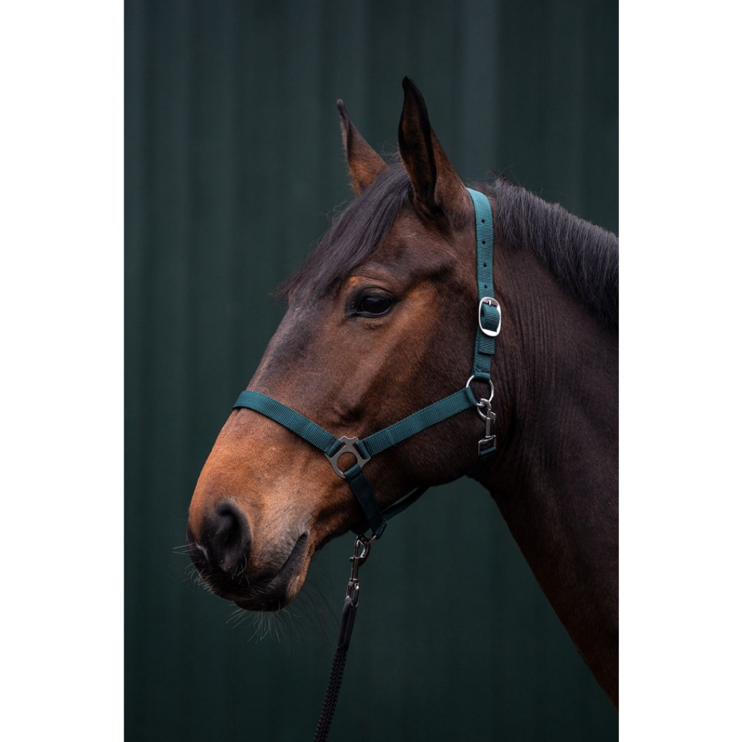HKM Brisbane Halter
