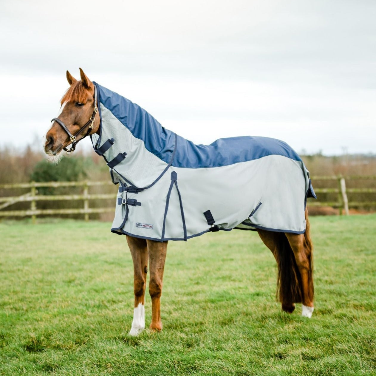 Equi-Sential Waterproof Flysheet
