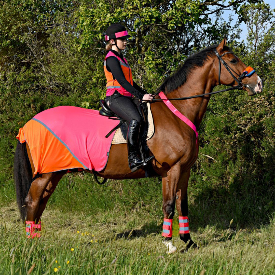 Equisafety Charlotte Dujardin High Visibility Mesh Exercise Sheet