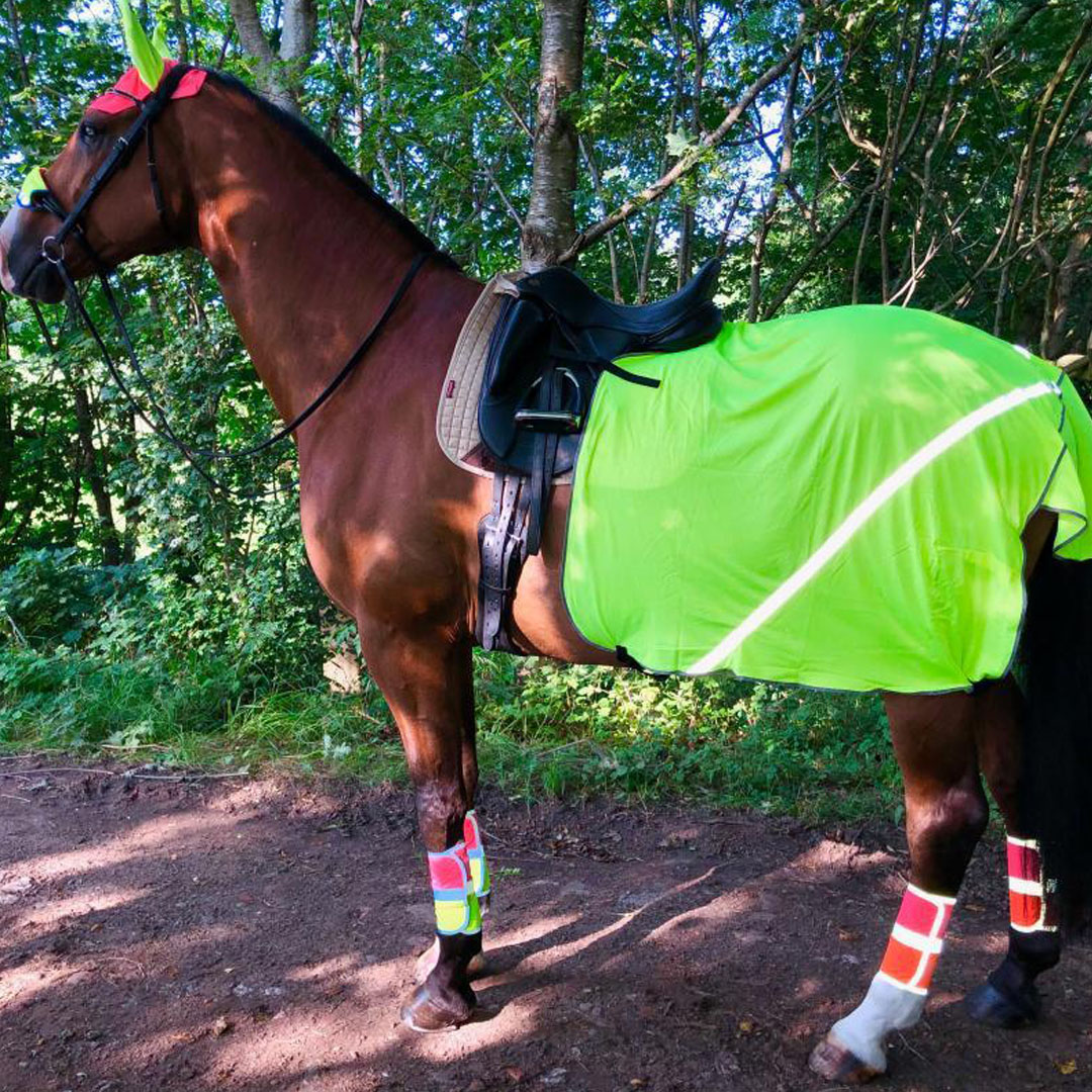 Equisafety Charlotte Dujardin High Visibility Mesh Exercise Sheet