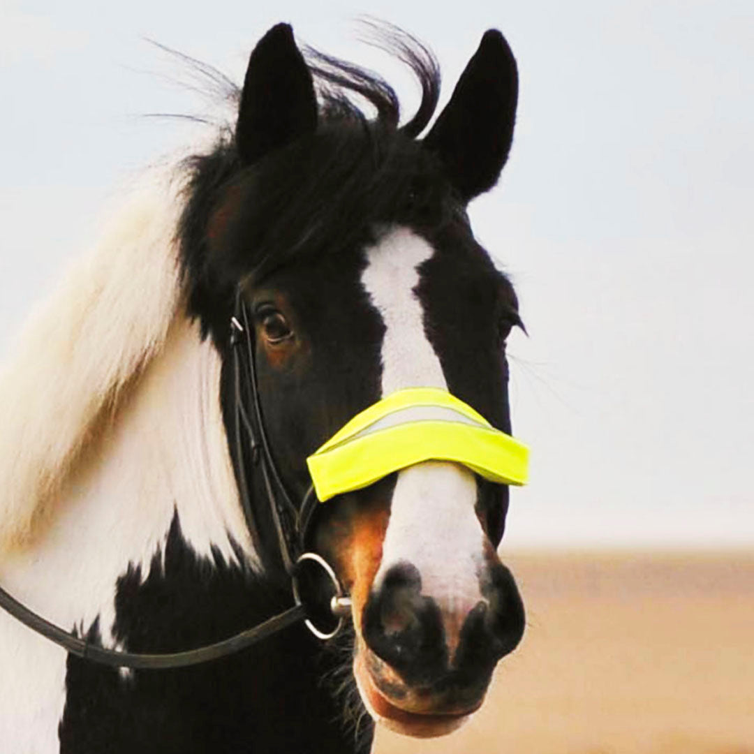 Equisafety High Visibility Band