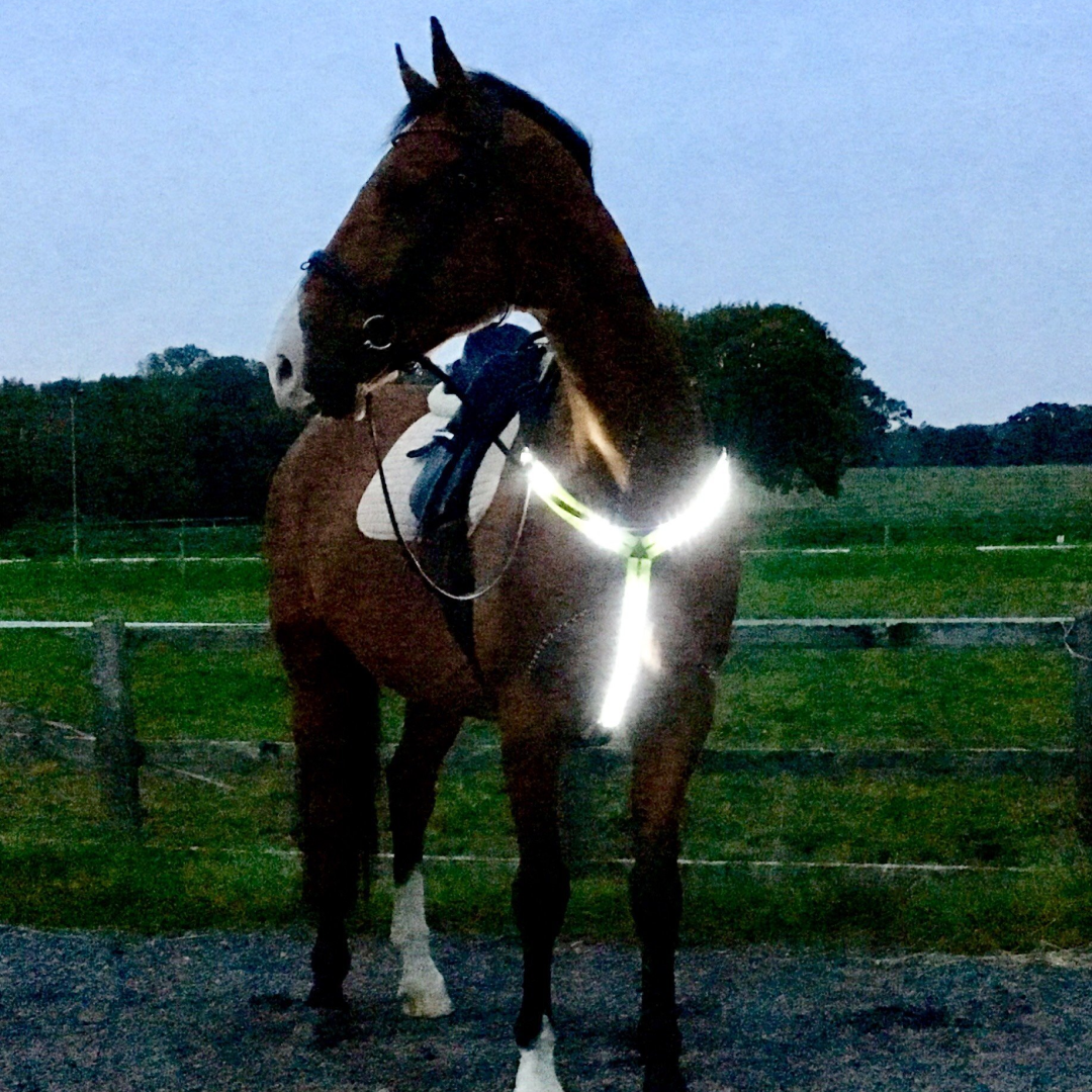 Equisafety Led Rechargeable Breastplate