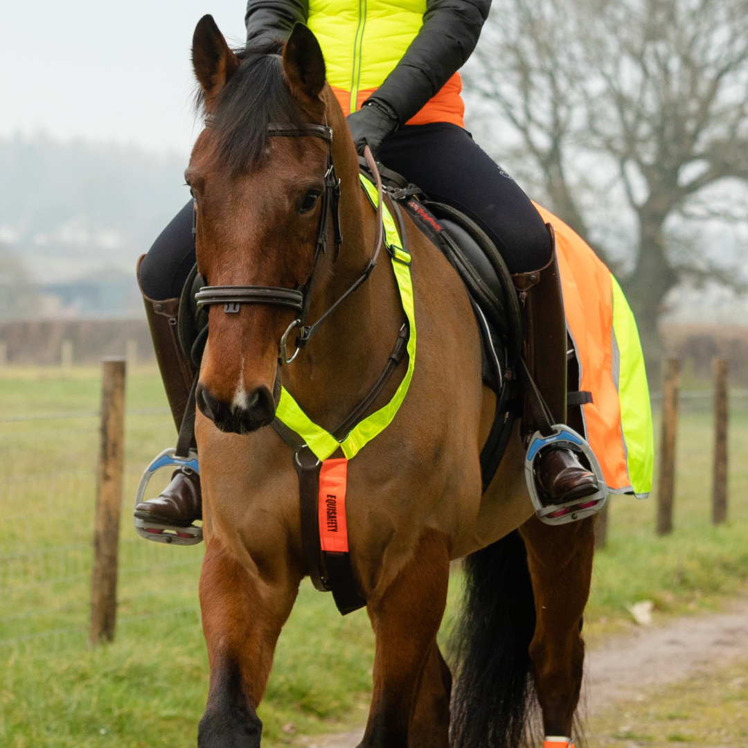 Equisafety Multi-Coloured Neckband