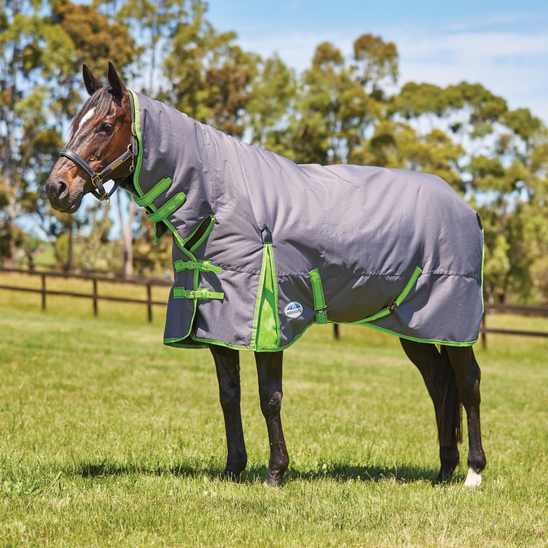 Weatherbeeta ComFiTec Essential Combo Neck Heavy Turnout Rug