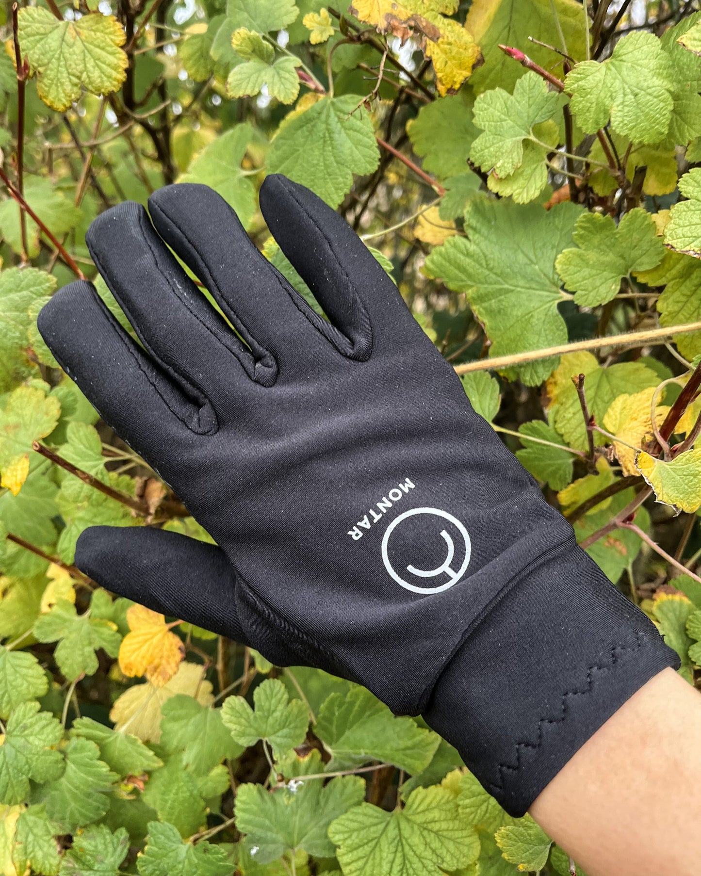 Montar Softshell Gloves