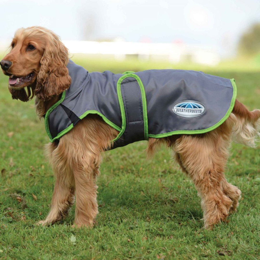 Weatherbeeta Comfitec Windbreaker Free Parka Deluxe Dog Coat