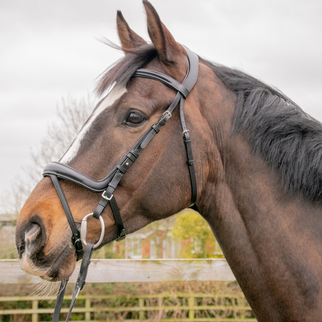GS Equestrian Deluxe Ergonomic Flash Bridle