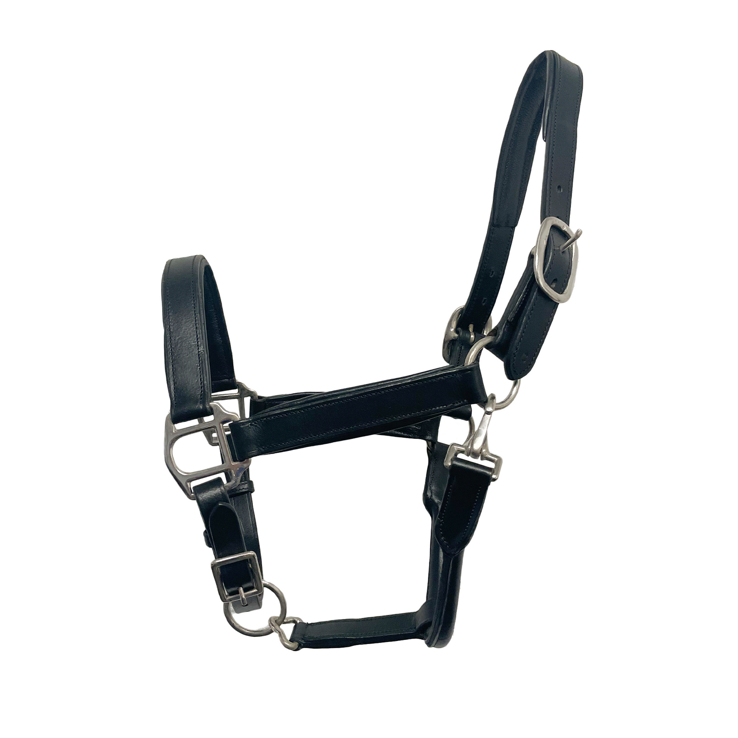 GS Equestrian Leather Padded Head Collar
