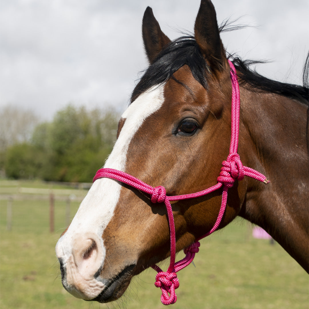 GS Equestrian Rope Halter