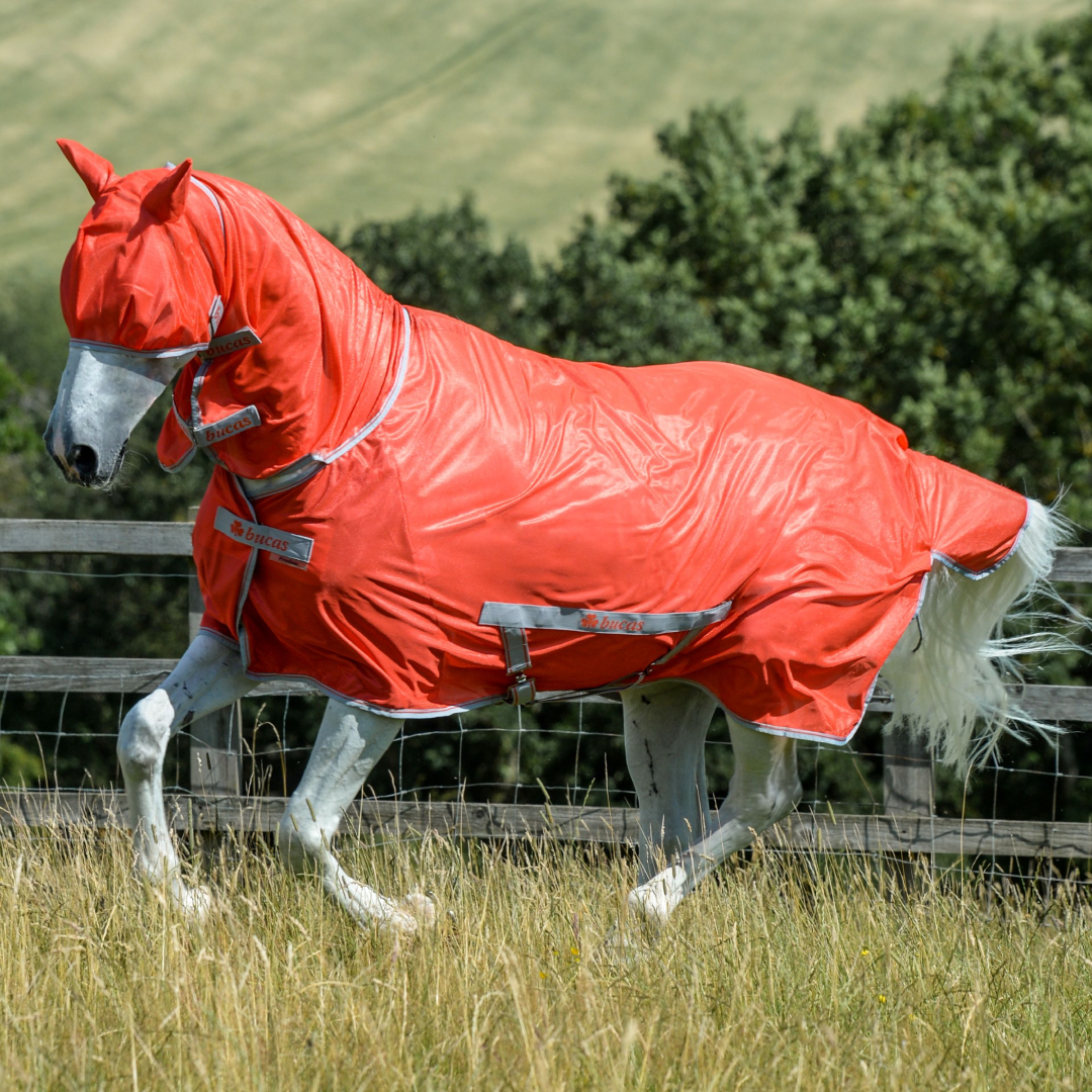 Bucas Freedom Fly Mask
