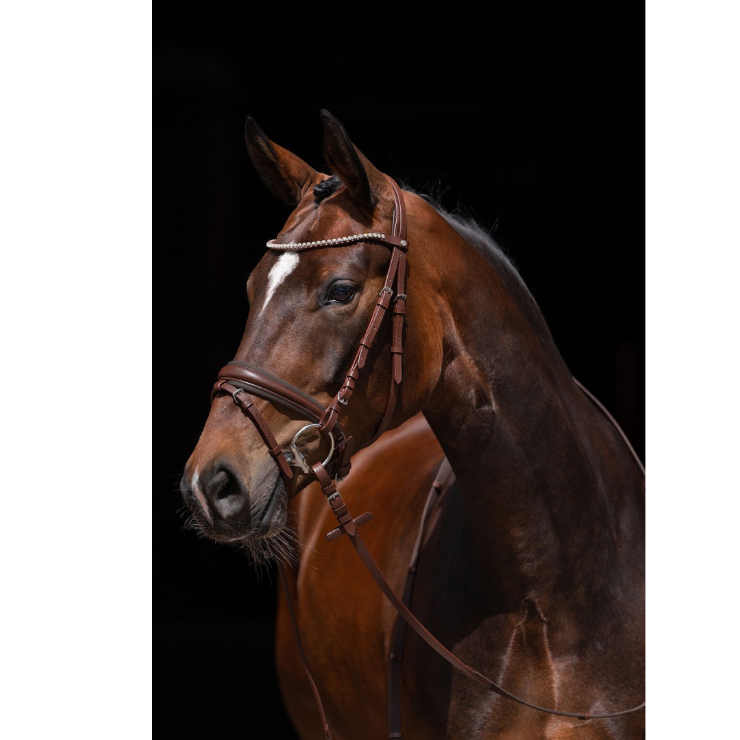 HKM Flora Bridle