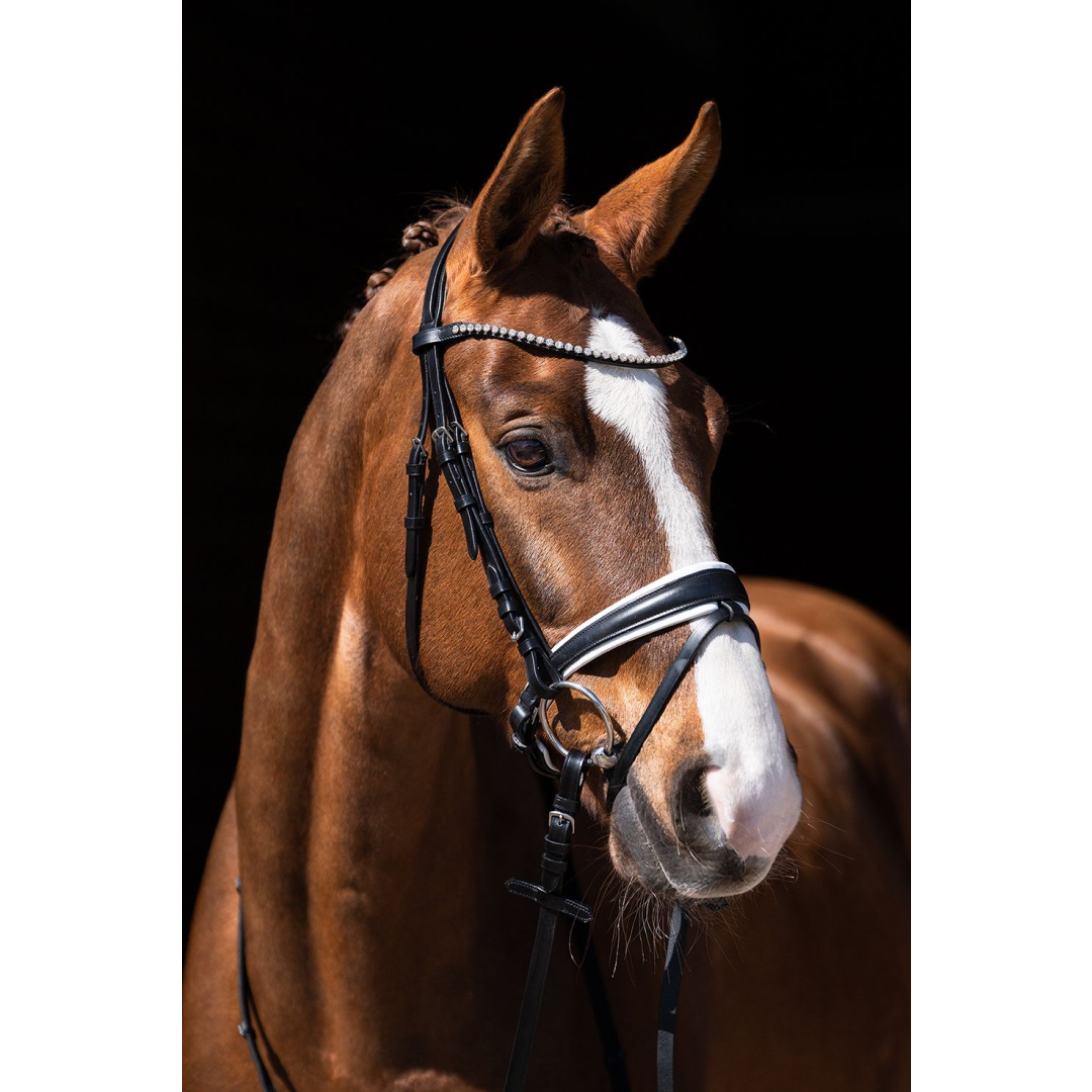 HKM Flora Bridle