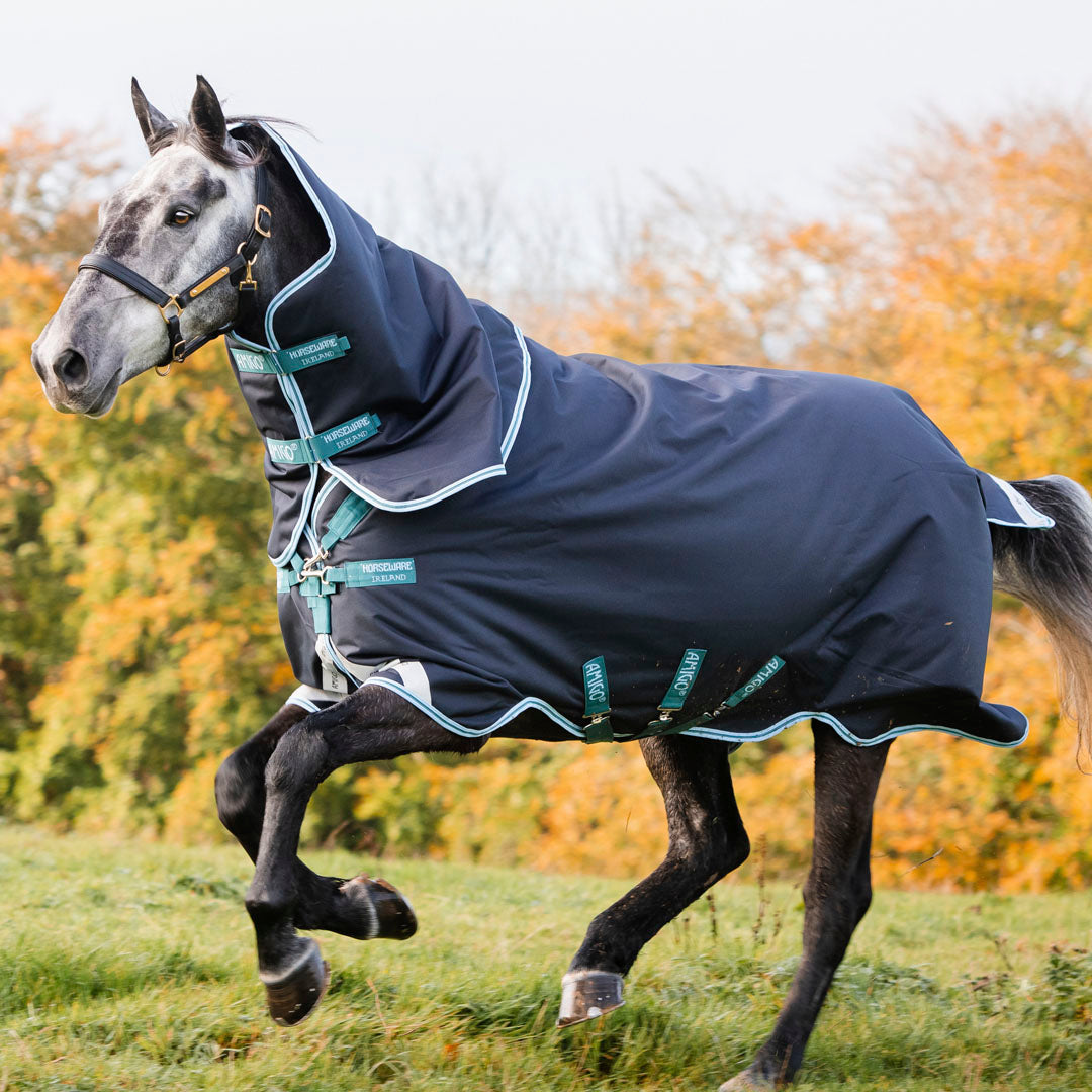 Horseware Ireland Amigo Bravo 12 Plus 250g Medium Turnout Rug