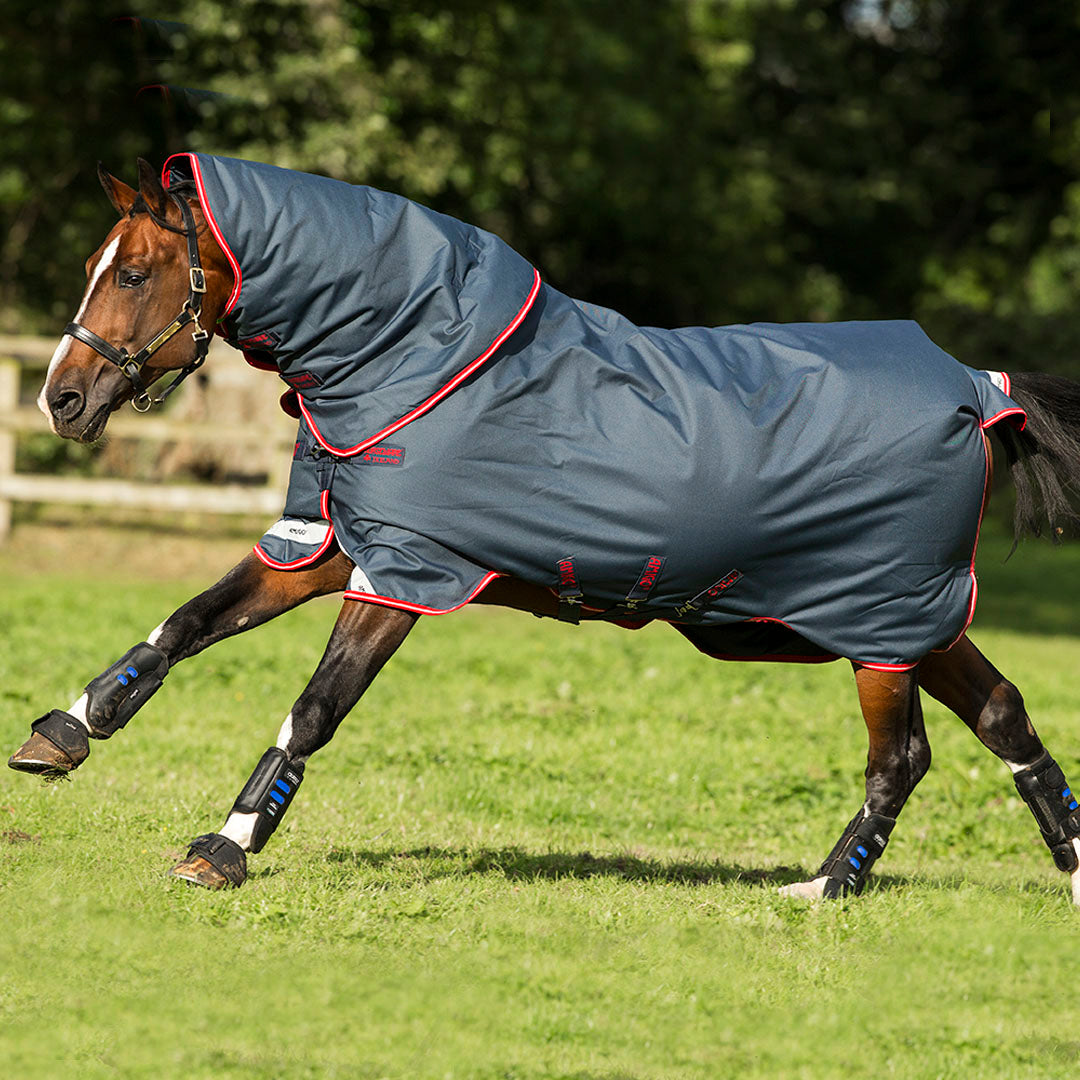 Horseware Ireland Amigo Bravo 12 Plus 250g Medium Turnout Rug