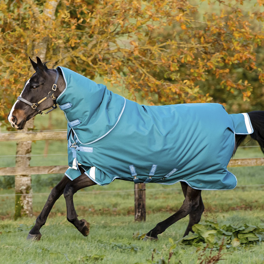 Horseware Ireland Amigo Bravo 12 Plus 400g Heavy Turnout Rug