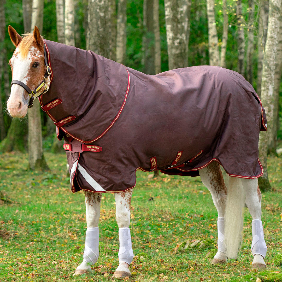 Horseware Ireland Amigo Bravo 12 Plus 100g Lite Turnout Rug with Disc Front Closure