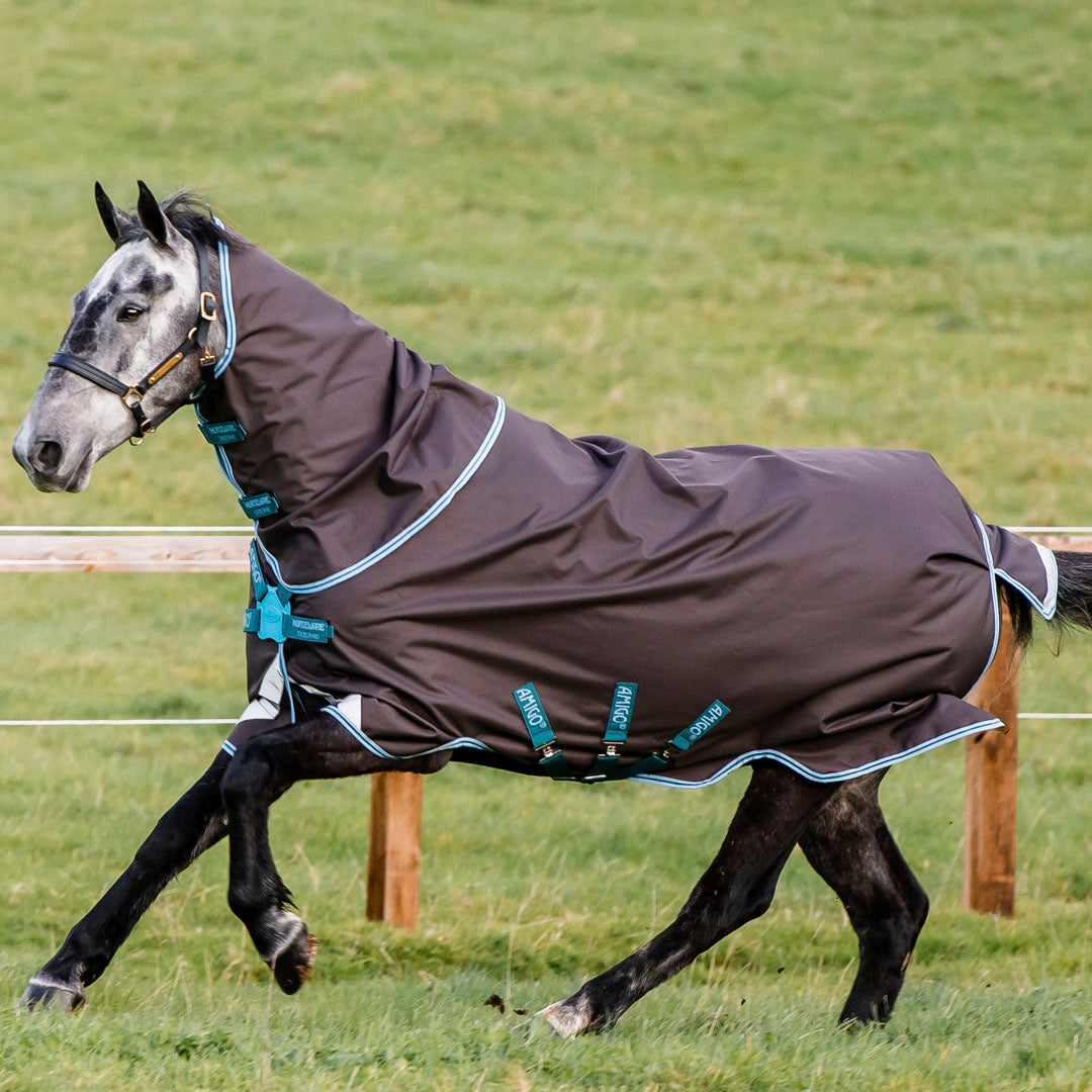Horseware Ireland Amigo Bravo 12 Plus 0g Lite Turnout Rug with Disc Front Closure