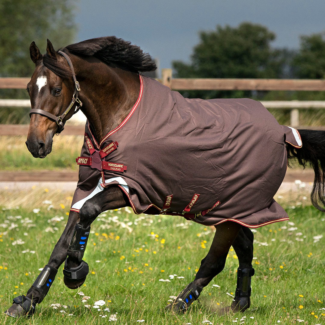 Horseware Ireland Amigo Bravo 12 Original 0g Lite Turnout Rug with Disc Front Closure