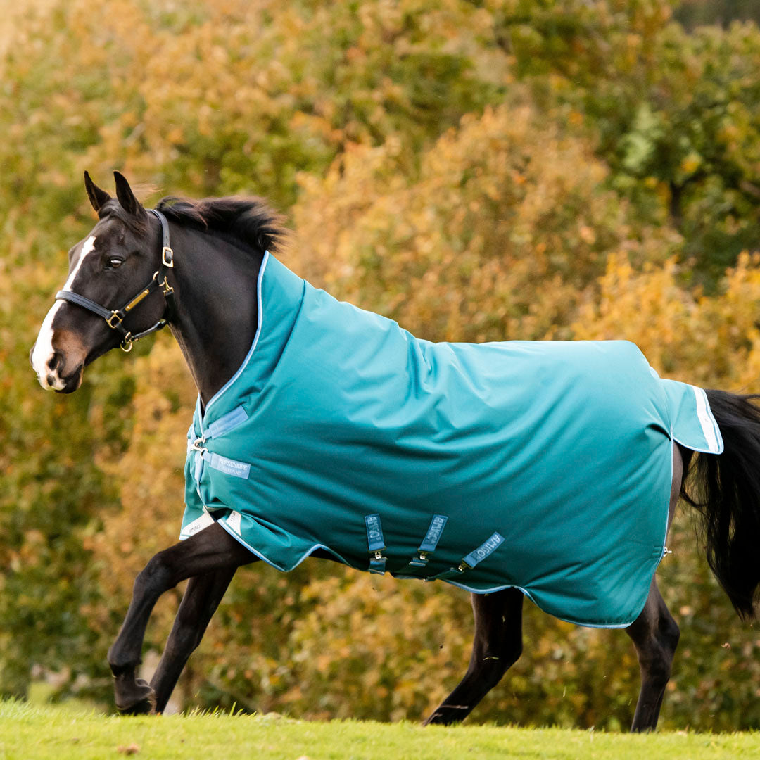 Horseware Ireland Amigo Bravo 12 Wug 400g Heavy Turnout Rug