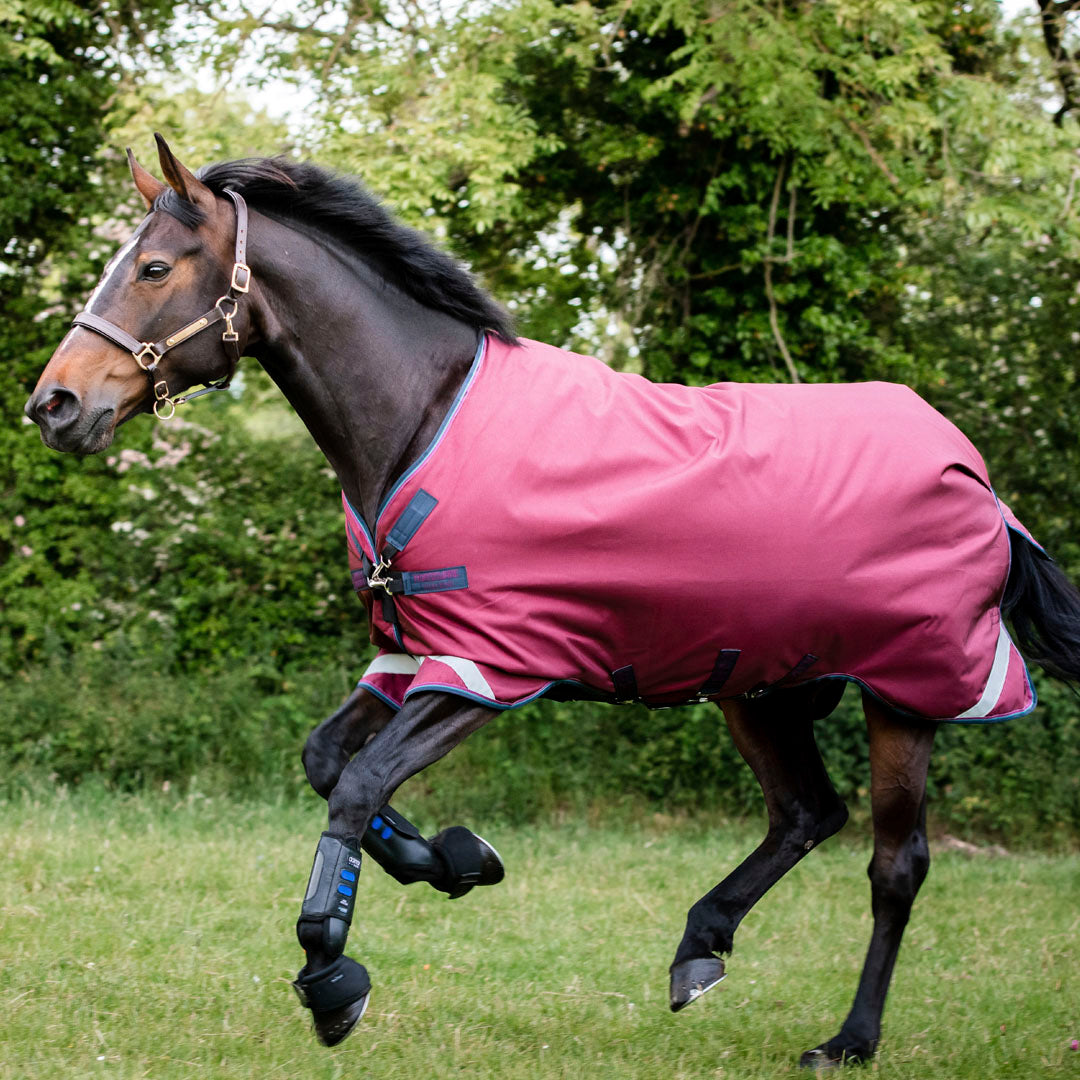 Horseware Ireland Rambo Original 0g Lite Turnout Rug with Leg Arches