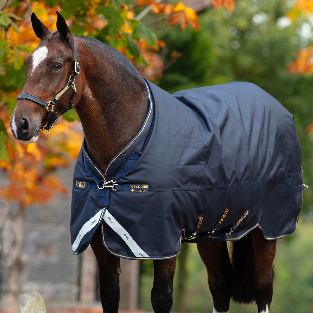 Horseware Ireland Amigo Bravo 12 XL 250g Medium Turnout Rug