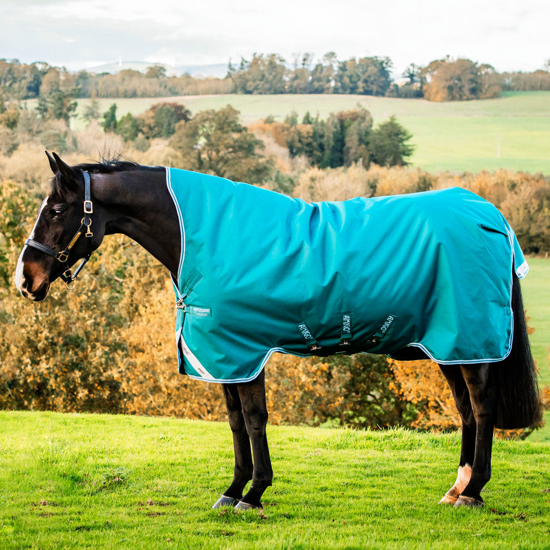 Horseware Ireland Amigo Bravo 12 Wug 0g Lite Turnout Rug