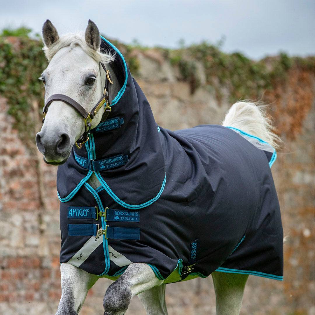 Horseware Ireland Amigo Bravo Pony Plus 250g Medium Turnout Rug