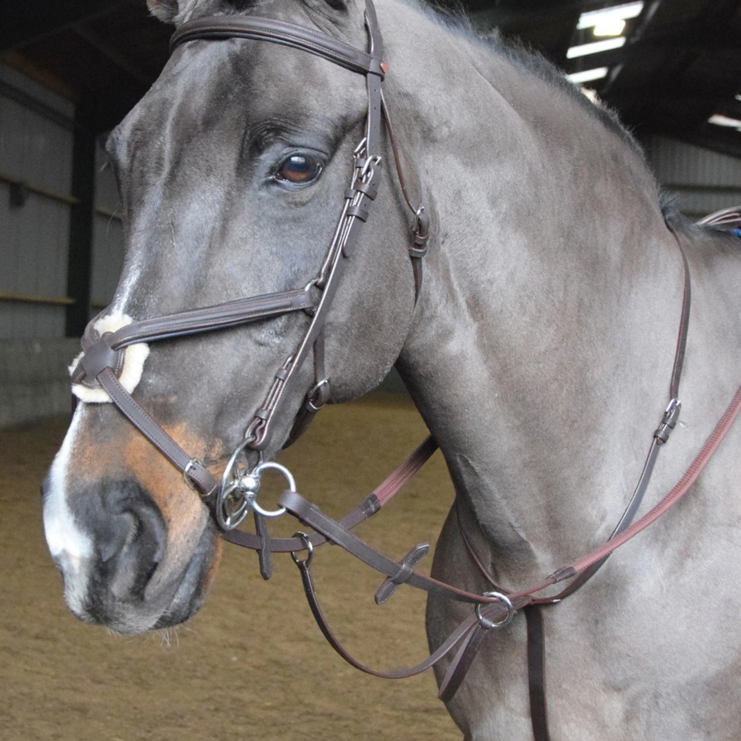 Whitaker Ready To Ride Martingale