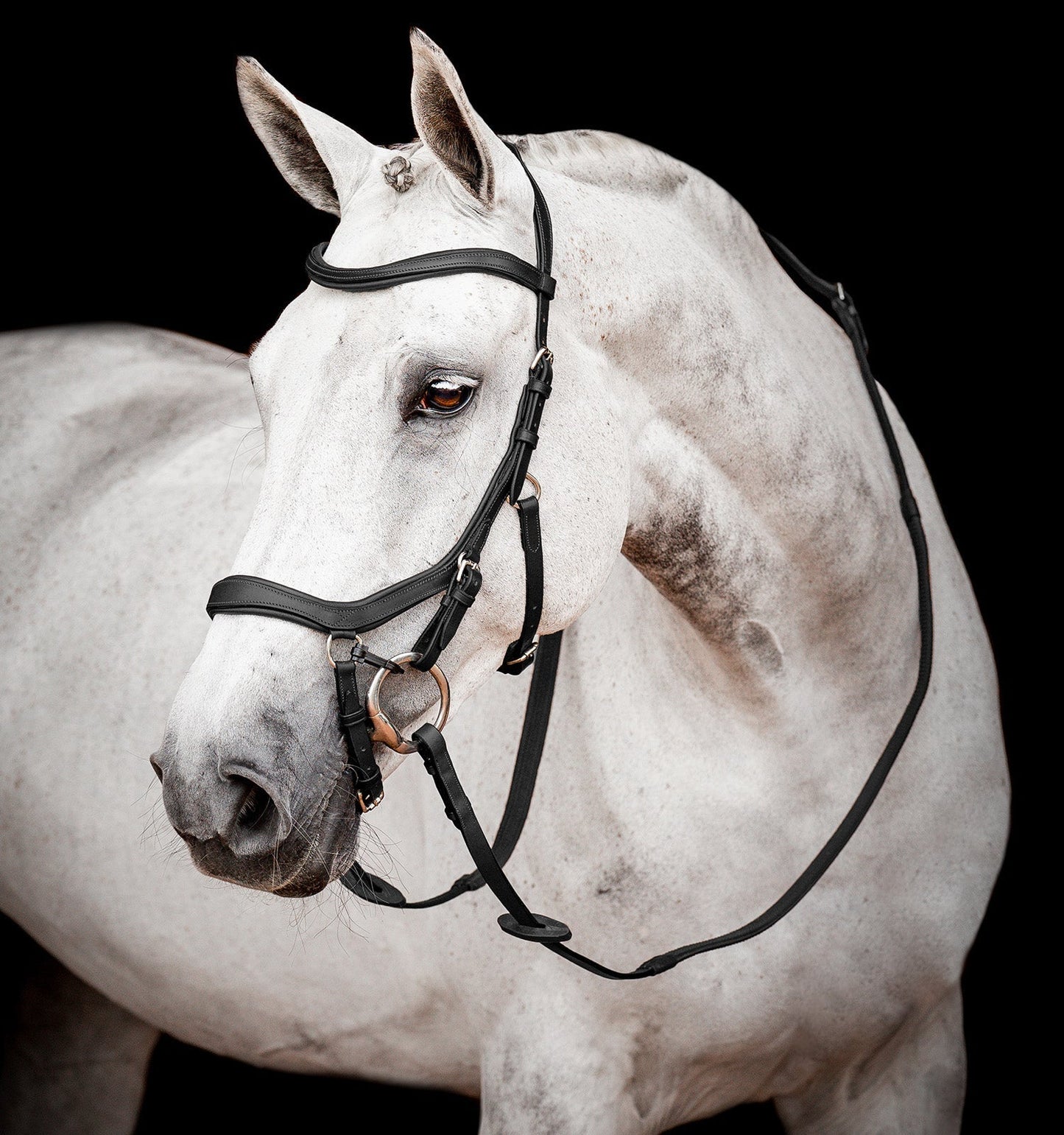 Horseware Ireland Micklem 2 Competition Bridle