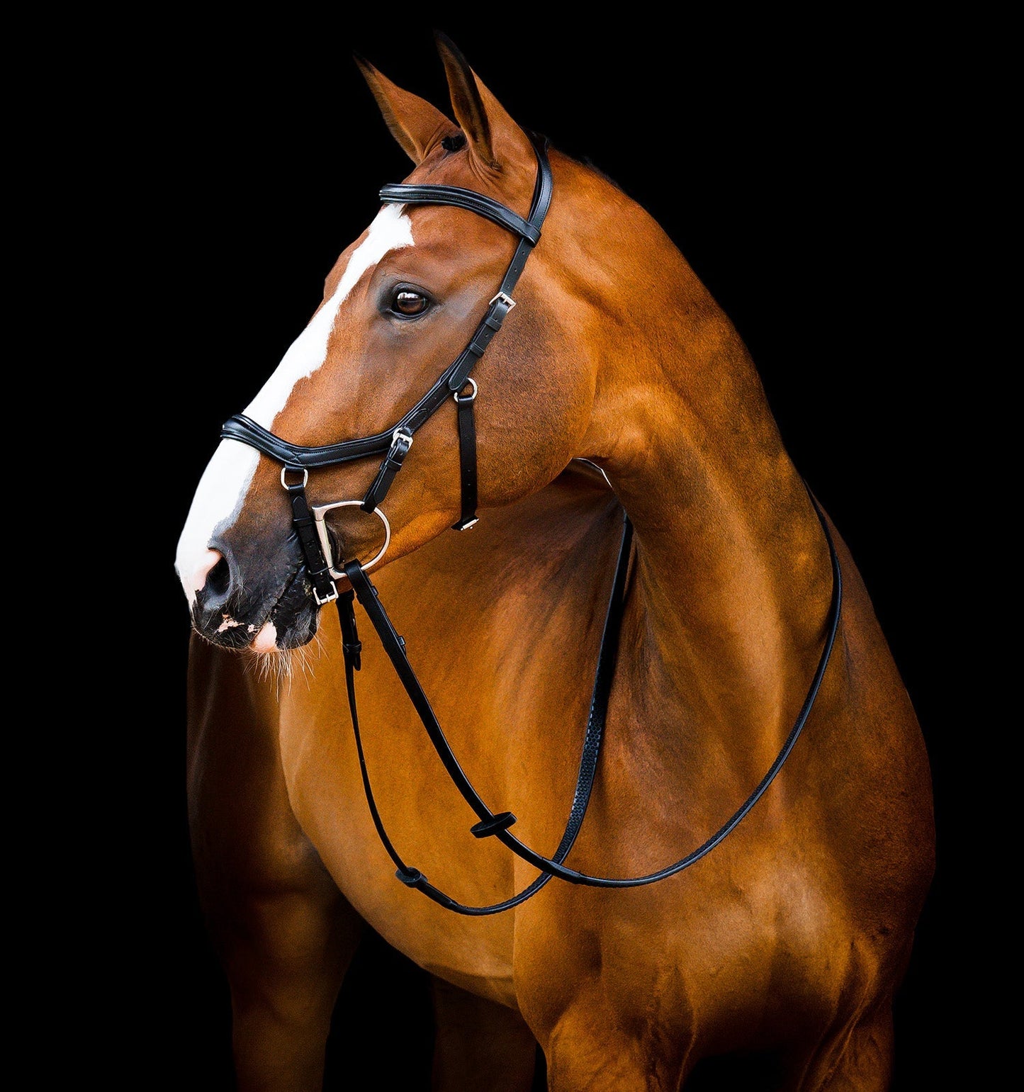 Horseware Ireland Micklem 2 Deluxe Competition Bridle With Reins