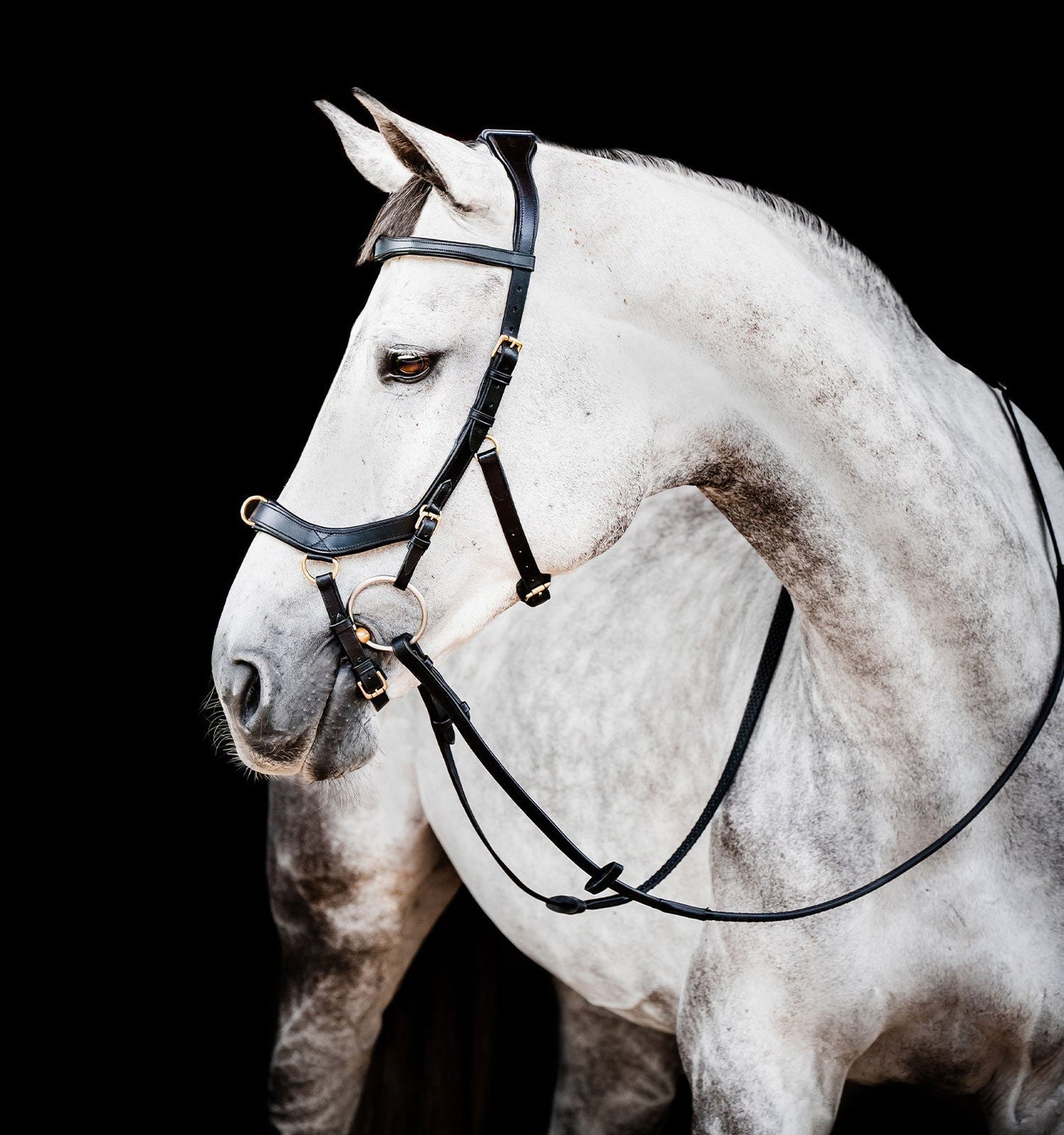 Horseware Ireland Micklem 2 Multi Bridle