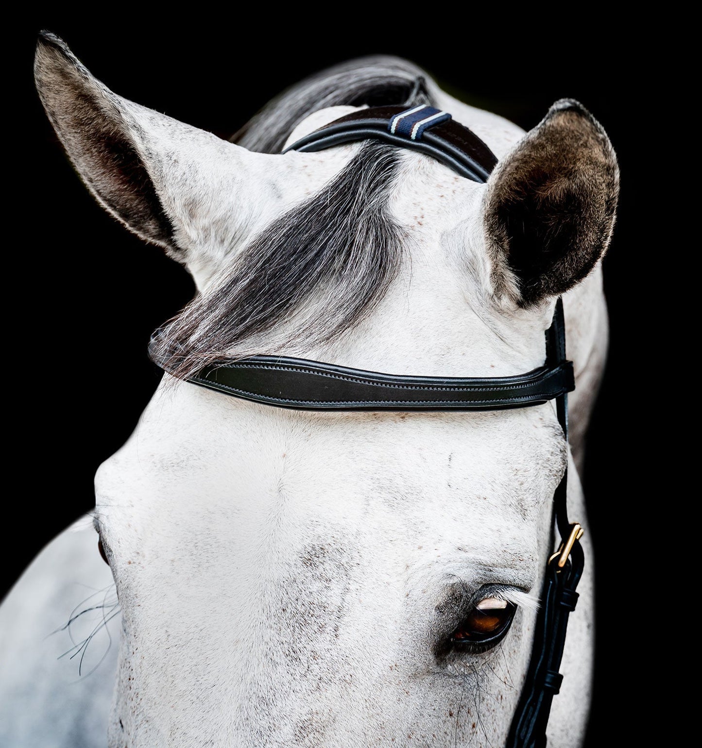 Horseware Ireland Micklem 2 Multi Bridle