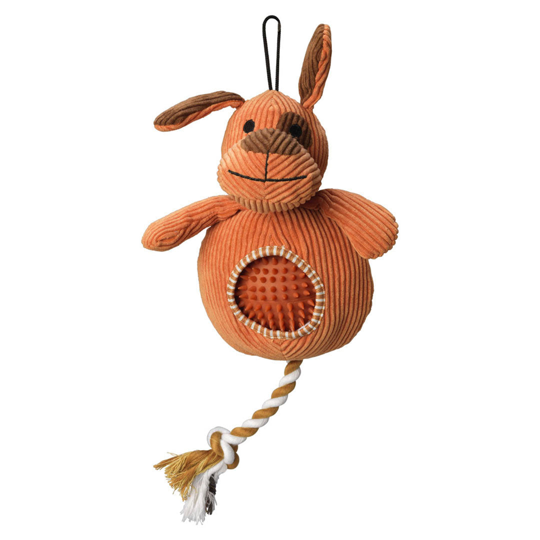 House of Paws Cord Toy with Spiky Ball