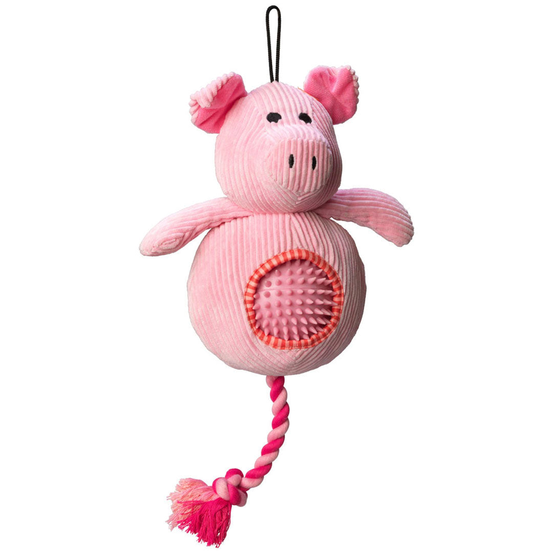 House of Paws Cord Toy with Spiky Ball
