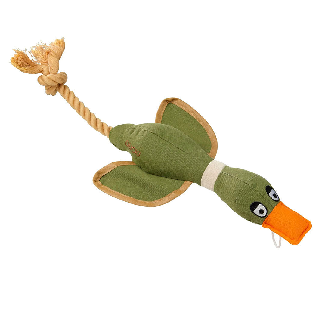 House of Paws Duck Thrower with Wings