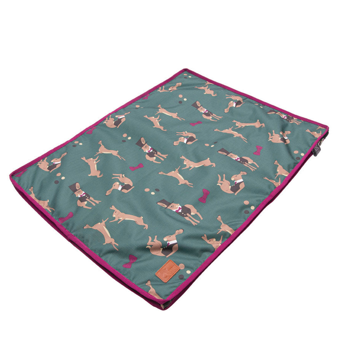 Hy Equestrian Benji & Flo Harrison The Hare Dog Bed